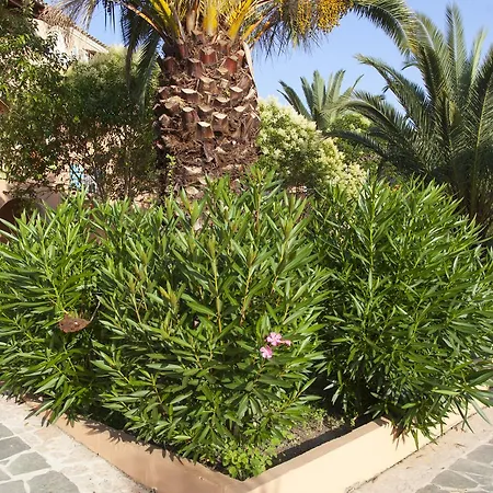فندق Corfugrace